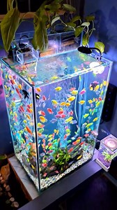 Corner Aquarium Magic 🐠✨ | Compact & Stunning Aquarium Setup. #CornerTank #SmallAquarium #AquariumLife #Aquascape #PlantedTank #FreshwaterFish #AquariumLove #AquariumVibes #AquariumDesign #CompactAquarium #BeautifulAquarium #FishWatching #AquariumCommunity #Aquascaping #AquariumHobby #RelaxingAquarium #UnderwaterWorld #FishLovers #NatureInAquarium | Maria Hudson