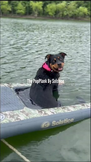 Solstice inflatable PupPlank. Portable dog ramp for your boat, dock, or pool. No more struggling with lifting your dog out of the water. #pupplank