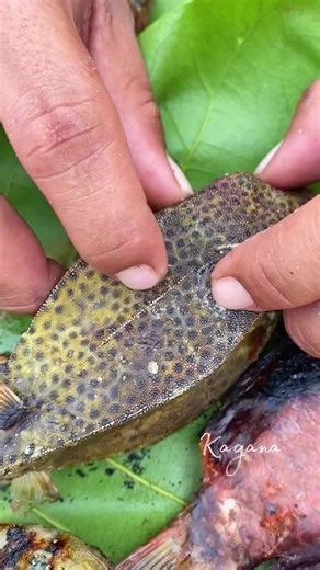 Delicious Grilled Boxfish Recipe: Cooking Tabarong