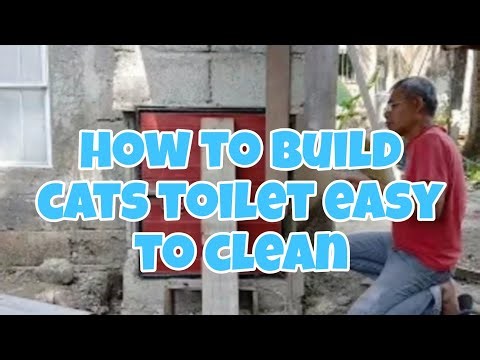 #How to build toilet for our cat's @JohnnyDIYChannel