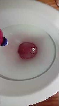 como desentupir vaso sanitário em 5 minutinhos!!