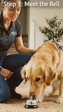 Teach Your Dog to Ring a Bell – Easy Step-by-Step Dog Training! 🔔