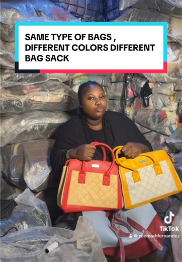 Exploring Different Bag Styles and Colors