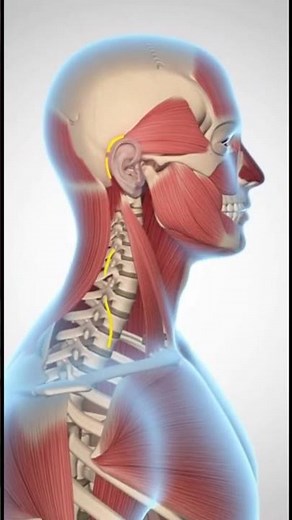 Chin Tuck Exercise for Neck Rehab | Deep Cervical Flexor Activation & Pain Relief