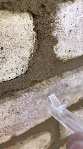 On_the_trowel on TikTok