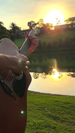 Captivating Acoustic Guitar Solo - Unleashing Musical Talent