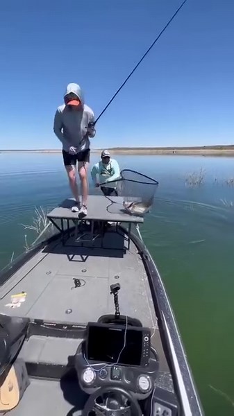 612K views · 15K reactions | What a tank  #teambassmanager For more bass fishing visit us bassmanager.com | Bass Manager | Facebook