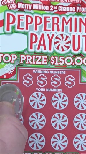 The Reveal I Did not want to See Coming… #scratch #lottery #lotterytickets #winner #lotterygames