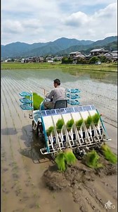 Modern Rice Farming with Automatic Paddy Transplanter | Smart Agriculture Technology #farming