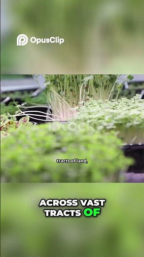 Vertical Farming: Grow More Food, Save the Planet - Here's How!