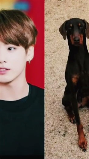 BTS With Their Cute Pets 🐾 | ARMY Hearts Melting 💜 | BTS Cute Moments #shorts✨💜💜💜💜💜
