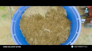 38K views · 781 reactions | Rajas Dairy Farm, a good example of farm automation near Nagarkoil, Tamilnadu. Contact Venkatesh on 9652623451 for project designing and planning details. #dairyfarm #milkproduction #farming #cowsmilk #dairyfarming | DeLaval | Facebook