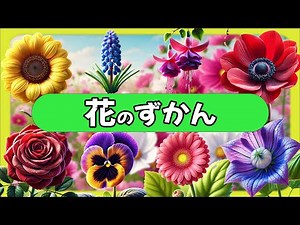 【花の名前】綺麗な花の写真図鑑-０歳から３歳向け（全48種類）