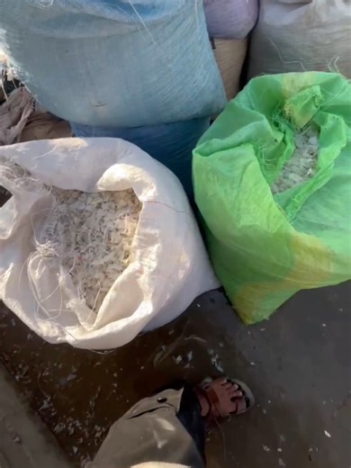 Eco-Plast Recycling at Dana Factory: Sustainable Practices