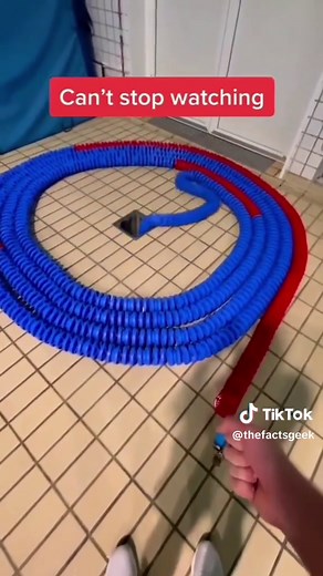 Mesmerizing Satisfying Videos Compilation