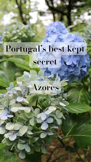 São Miguel, Azores | A Hidden Gem in the Atlantic ✨