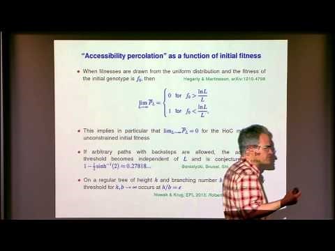 Fitness Landscapes and Adaptive Evolution