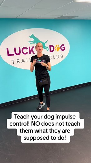 Teach Your Dog Impulse Control with Petunia the Lab