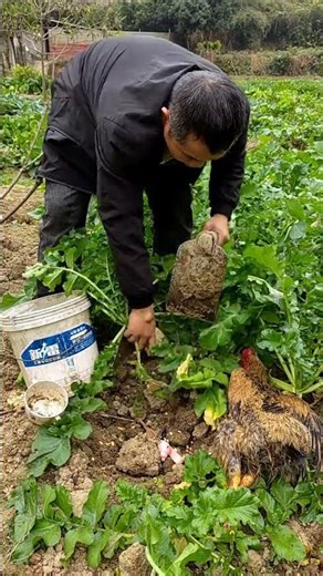 Play Partner Program #27