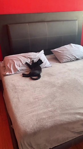 Contenido Original de: @infinitylanguageschool en Tik Tok #english #courses #reels #learn #foryou #viral | Initex