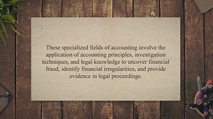 Forensic Accounting and Investigative Auditing