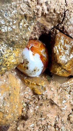 Banded agate #CrystalMagic #HealingCrystals #CrystalVibes #EnergyHealing #GemstoneLove #SpiritualJourney #PositiveEnergy #ManifestYourDreams #GoodVibesOnly | SocialSphere Central