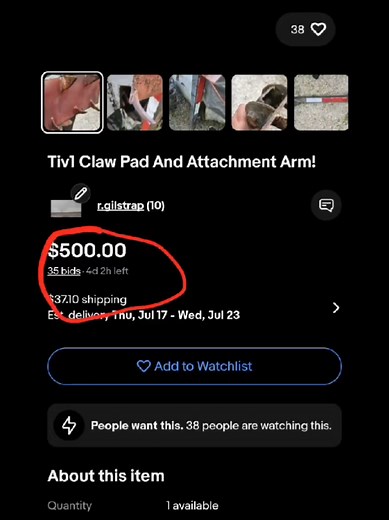Strategies for Successful eBay Auctions