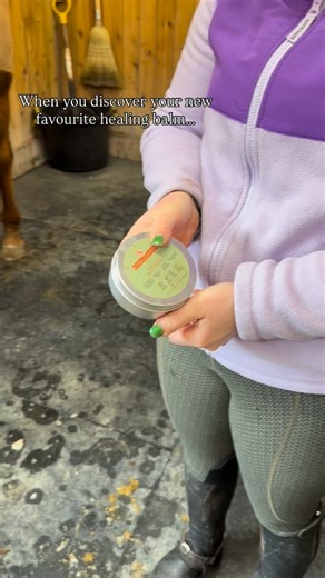 VF Equestrian on Instagram: "Don’t let Bert fool you, he doesn’t want food, he wants more @kingsleighequine healing balm on his blanket rub 🤗🤩"