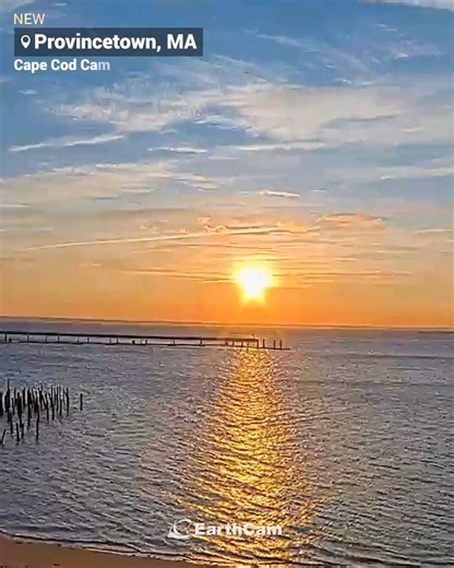 See Provincetown like never before with EarthCam’s newest live views. In partnership with Seamen's Bank, explore the Pilgrim Monument and the sweeping shoreline of Cape Cod Bay. Watch boats, shifting tides, and real-time coastal scenery. 🌊🏛️ Watch Cape Cod Bay Cam: https://www.earthcam.com/usa/massachusetts/provincetown/?cam=capecodbay Watch Pilgrim Monument Cam: https://www.earthcam.com/usa/massachusetts/provincetown/?cam=pilgrimmonument | EarthCam
