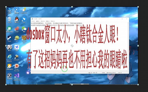 dosbox 窗口调整教程