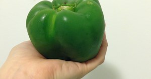 Pay For Pretty Peppers -- Farmers Will Donate The Ugly Ones