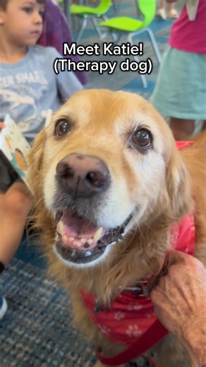 🐶🐾 Meet Katie, a certified therapy dog! Kids were thrilled to practice their reading skills with Katie. Visit Katie every last Saturday of the month at the #GwinnettLibrary Dacula Branch! #dogs #summerreading #reading #community | Gwinnett County Public Library