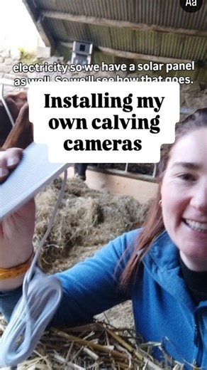 Tory Hill House on Instagram: "Yeah....I hate spending money 🤑 When someone quoted me €750 plus VAT for calving cameras I did some research and realised I could get them for about €150 each. That included night vision mode, light in the camera plus a solar panel and SIM card for the shed with no power. Took some tinkering around but got the cameras going 😉💪 #toryhill #microdairy #rawmilk #limerick #organic"