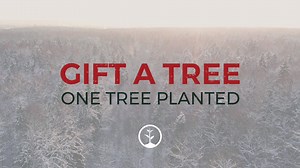 70 reactions · 21 shares | Skip the stuff and gift a tree for the holidays! We'll plant it for you to benefit nature for a lifetime  | One Tree Planted | Facebook