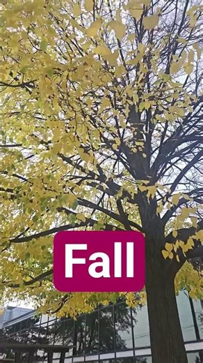 The Best Fall Scenery, Ever.