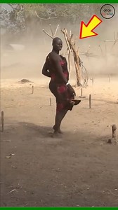 1.7M views · 15K reactions | African tribes build houses in jungle trees #reelsviralシ #tribe #facts | Watch and Back | Facebook