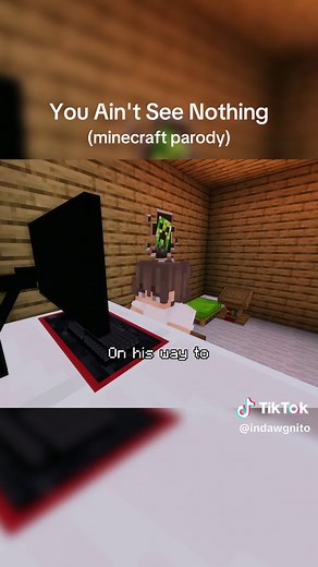 You Ain't See Nothing: A Minecraft Parody Music Video