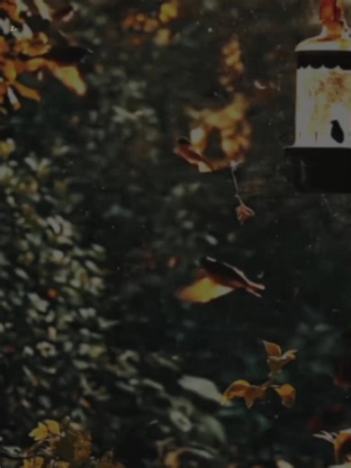 #foryou #lyrics #100k #urdupoetry #tiktok