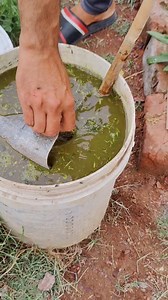 25K views · 485 reactions | Best DIY Homemade Fertilizers for your...