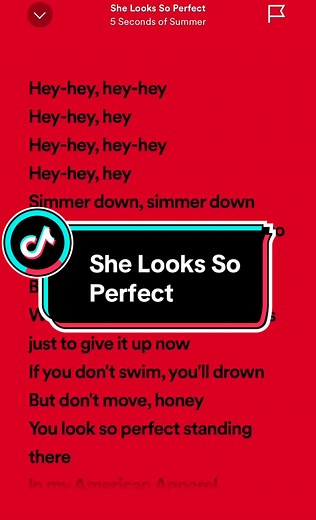 She Looks So Perfect Song Lyrics by 5 Seconds Of Summer