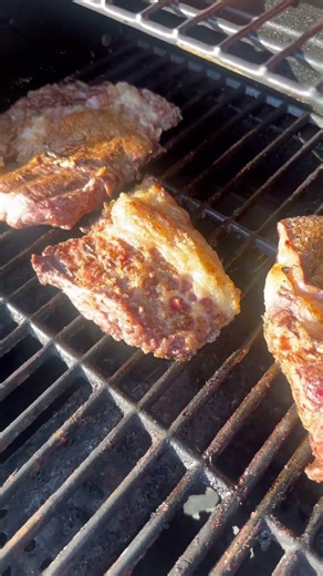 Cow one day next day steak