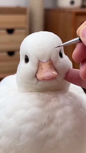 How to Hatch Adorable Call Ducklings at Home