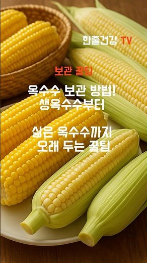 옥수수 보관 방법! 생옥수수부터 삶은 옥수수까지 오래 두는 꿀팁