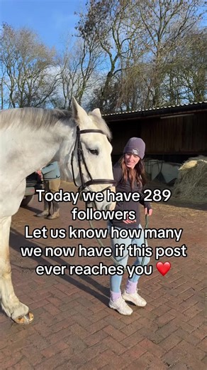 Stunning Show Jumping Moments with Dez