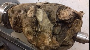 How a 60-year-old root ball became a resin-cast vase