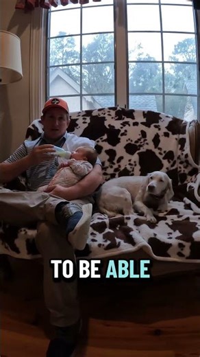 Should You Let Your Dog on the Couch?