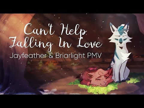 Can't Help Falling In Love || Jayfeather & Briarlight PMV