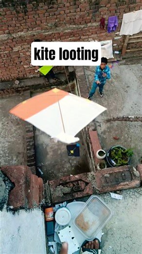 kite looting. #kitelooting #kitefestival #kiteflying #shorts
