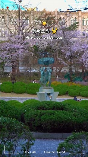 Campus Atmosphere by Time of Day: One Spring Day at Kyung Hee | 🌸️One Spring Day at Kyung Hee Univ.