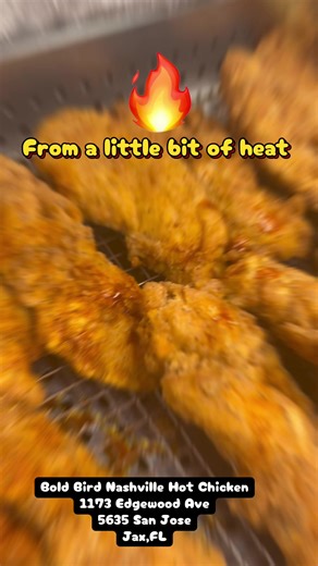 Mild… hot… hotter than you expected 😈🔥 Bold Birds has you covered 🐔 #BoldBirds #SpicyFood #duvalcounty #jacksonvilleflorida #nashvillehotchicken